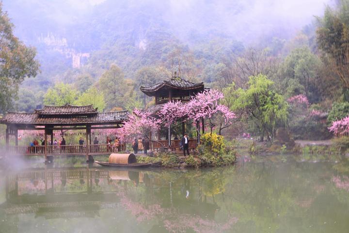 沙拉的英语单词怎么读-专业问答网站,解答你的疑问